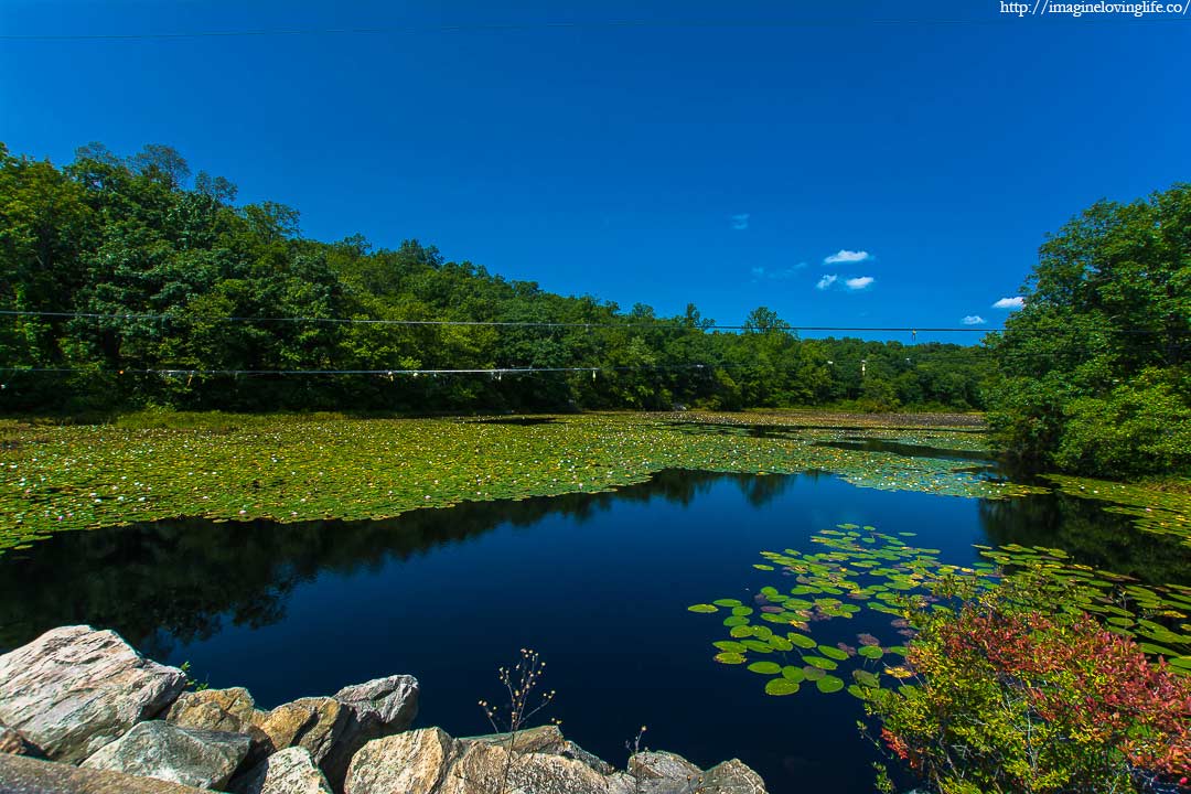 Ramapo Lake Pond